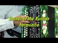 Every musician&#39;s dream. Sounds of the Russian harmonica