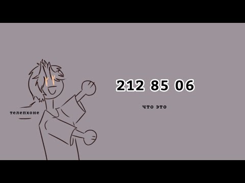 212 85 06