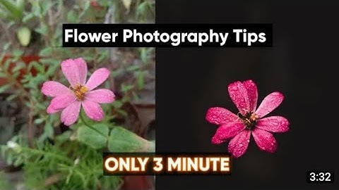 Moody Flower editing tutorial Lightroom color grading | blur image background