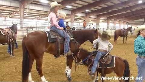 Peptos Stylin - cowgirl ranch rodeo roundup! - ValleyViewRanch.net