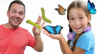 صوفيا تنمو الفراشات في المنزل! الأطفال وأبي المتعة في حديقة الأطفال