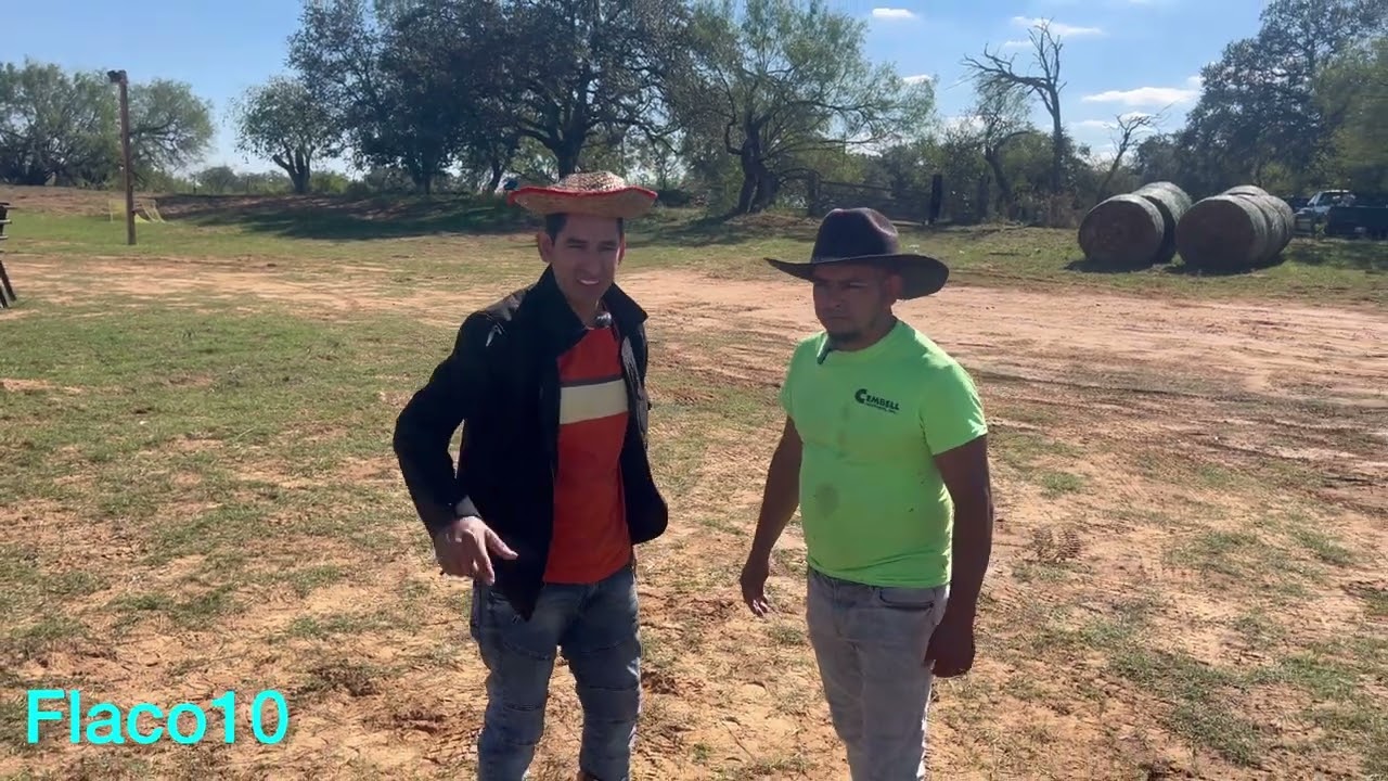 Cuando sea albañil no diré nada pero habrán señales