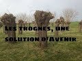 Permaculture et autonomie - Ces #Trognes multifonctionnelles!