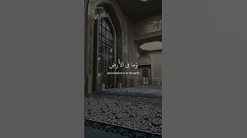 اية الكرسي | راحه نفسية  #القرآن_اليومي  #تلاوة #آيات_القرآن #حالات_واتس #راحة_نفسية #اكسبلور