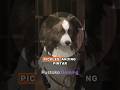 Pickles Di Reverse: 1999 Itu Doggo yang Beneran Ada