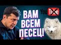 Вот и всё! Зеленский дал команду придушить блогеров! YouTube в опасности!