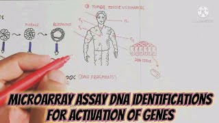 Microarray Assay,DNA Identification