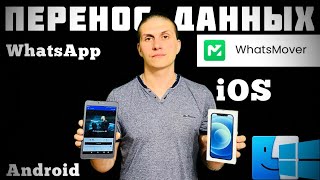 Как перенести сообщения WhatsApp между Android/iPhone/ПК (2022) ​⁠