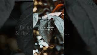 All In The Small Details