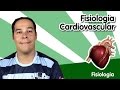 [Fisiologia] Fisiologia Cardiovascular