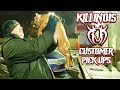 AMERICAN BULLY CUSTOMER PICK UPS FROM THE WORLD FAMOUS KILLINOIS KENNELS