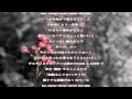 DEPORTATION~but,never too late~/奥井雅美/歌詞付き Relaxing Music