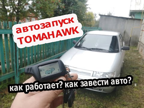 Видео: Тамарак бол шилмүүст мод мөн үү?