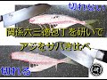 関孫六の三徳包丁、研いでみたら割込み包丁だった。研ぐ前と後で、アジをさばいて比べてみたら、同じ包丁とは思えない結果に。やはり切れ味は大切。　＠TOGITOGI動画