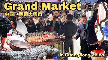 中國廣東大集市，廣東人到底有多敢吃？鱷魚肉排隊買，一上午賣掉4整條鱷魚，徒手抓活蛇！廣東人愛煲湯，整條街都是賣煲湯料的！