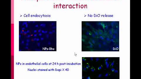 Superare la barriera emato-encefalica: il ruolo delle nanoparticelle