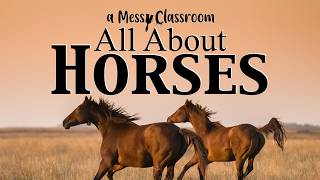 All About Horses | Amazing Facts About the Domestic Horse Equestrian Animal Breeds Kentucky Derby