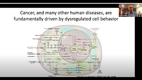 Systems Biology to Uncover New Therapeutic Strateg...