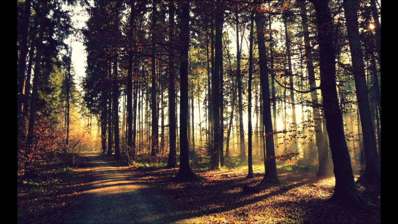 ⁣Young Montana? - Cassetteplay // Reprise