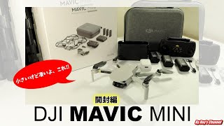 【ドローン】「DJI MAVIC MINI」って、小さいけど凄い‼ これで空撮ができる