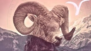 Zodiac Signs: Aries "The Smooth Operator" Traits & Meaning