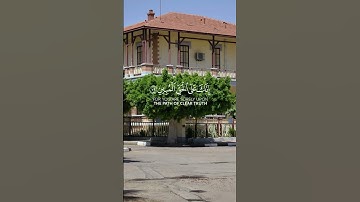 #قرآن #القرآن_الكريم #الله #تلاوة_خاشعة #ايات_قرانيه_قصيره #اكسبلور #اسلام_صبحي #سورة_النمل