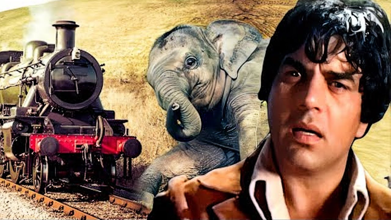 धर्मेंद्र ने फंसे हुए छोटे हाथी को ट्रेन से बचाया | Dharmendra Action | Hema Malini | Maa (HD) Movie