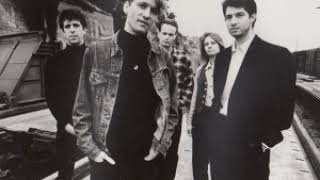 Camper Van Beethoven - Sweethearts