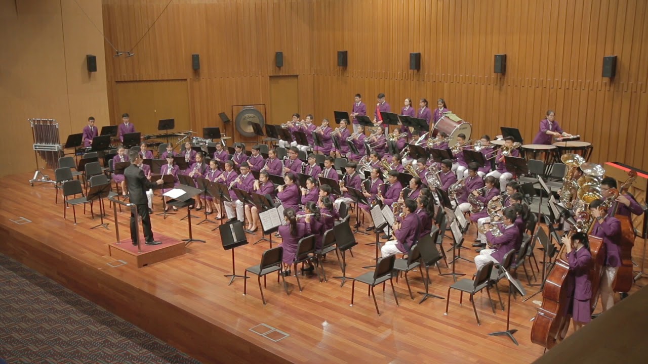 Festival on Earth - Lee Jinjun (QSSBand SYF 2019)