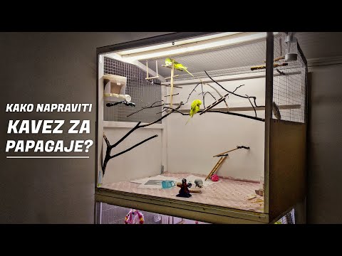 Kako napraviti kavez za Papagaje Tigrice