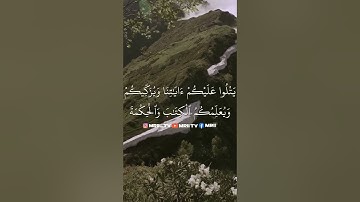 ماهر المعيقلي - سورة البقرة ( برواية حفص عن عاصم ) الأية 151 - 152