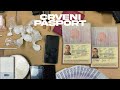 Cunami x neloe  crveni pasport