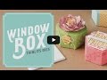 New Occasions Catalogue Product Spotlight - Window Box Thinlits