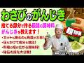 本わさびの葉と茎が“最強の調味料”に変わる。大将が超有料級の技『わさびのがんじき』を初公開|薬味シリーズ わさび Part.3