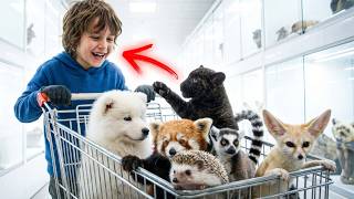Secret Door in the Pet Store... You Won't Believe What’s Inside! 🛑