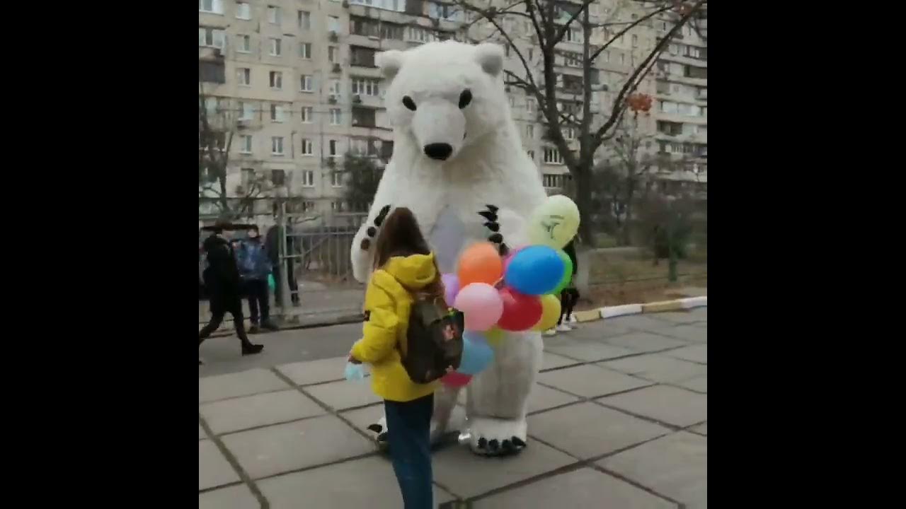 Белый Поздравительный Мишка Киев поздравляет школьницу после уроков ...