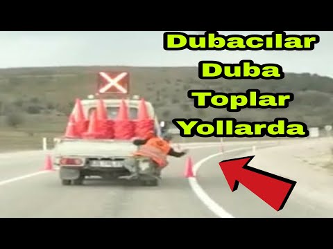 Video: Tuplayan balıq niyə tullanır?