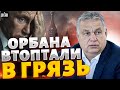 Венгерская мечта Путина РУХНУЛА! Настоящее ВОССТАНИЕ в ЕС. Орбана ВТОПТАЛИ в ГРЯЗЬ. Крах недоимперии