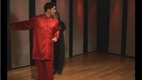 Kung Fu : Tan Tui Scrape Block Side Punch