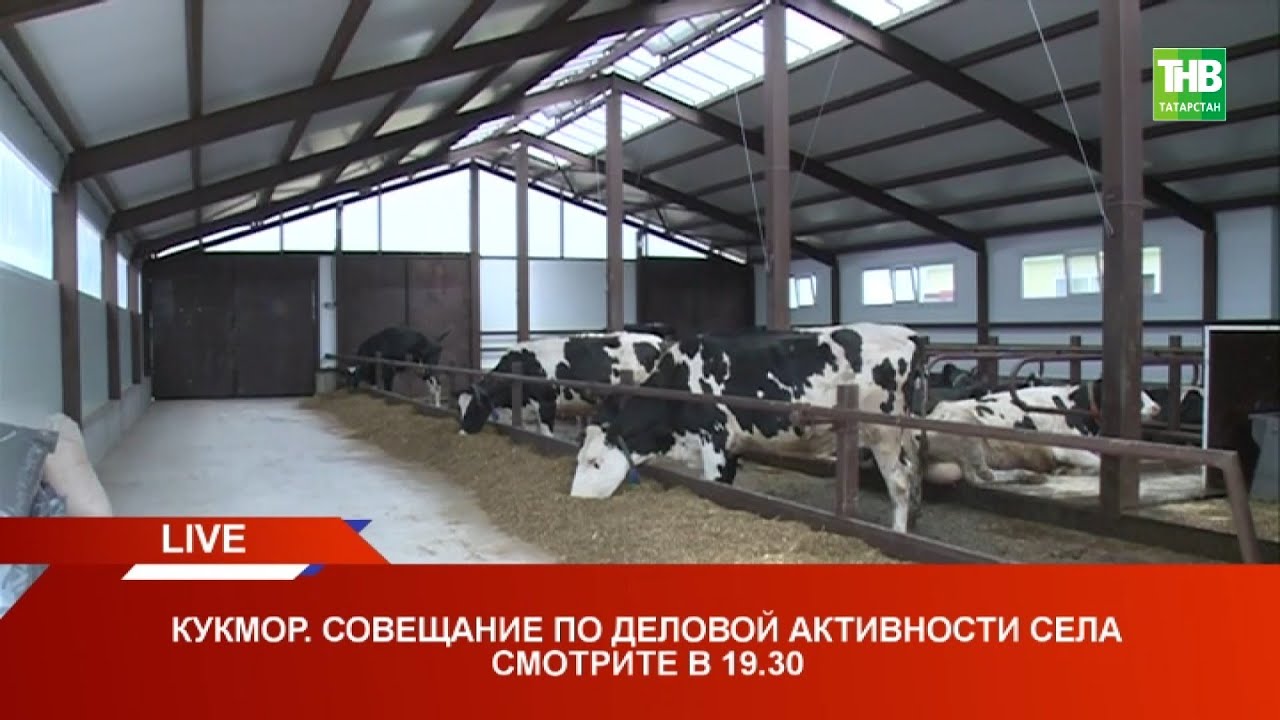 🔴 Кукмор: совещание по деловой активности села 17/05/22 LIVE 