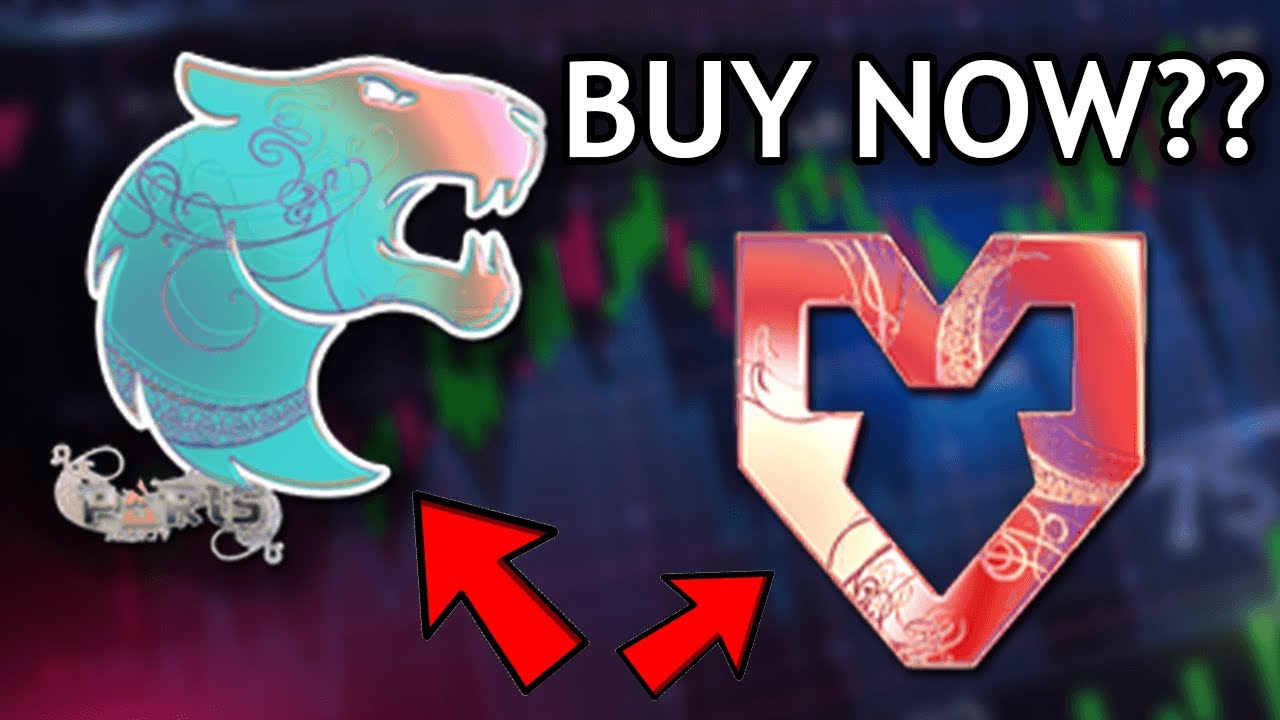 BEST PARIS TEAM STICKERS TO INVEST IN CSGO PARIS 2023 MAJOR (MAKE
