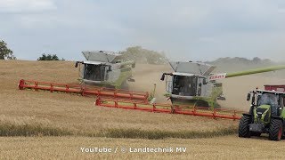 100% Claas / Getreideernte - Grain Harvest  2019