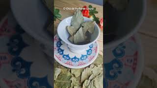 Cha de Folha de Louro Laurus Nobilis Rocha Saude 100% Puro