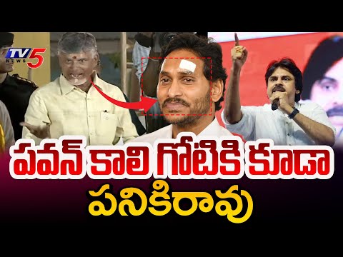 Chandrababu SENSATIONAL Comments On CM YS Jagan Over Comments On Pawan Kalyan | TV5 News - TV5NEWS