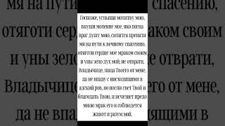 Если одолевает лукавый - срочно читай. Молитва Богородице