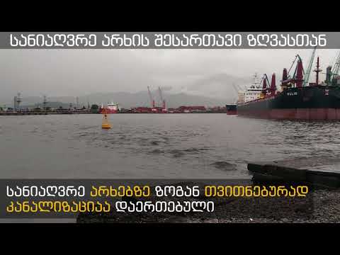 სანიაღვრე არხით დაბინძურებული ზღვა