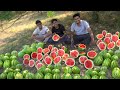 100KG WATERMELON JUICE | Watermelon Milk Juice | WaterMelon | Refreshing Healthy Drink |Food4 People