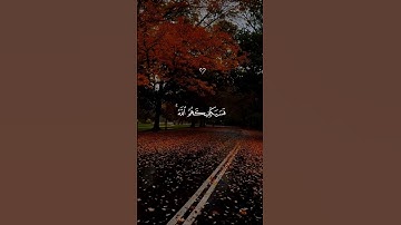 تلاوة تريح القلب… ارح قلبك 😴♡| #قرآن #تلاوة_خاشعة #احمد_العجمي #راحة_نفسية #تابعوني #اكسبلور #لايك