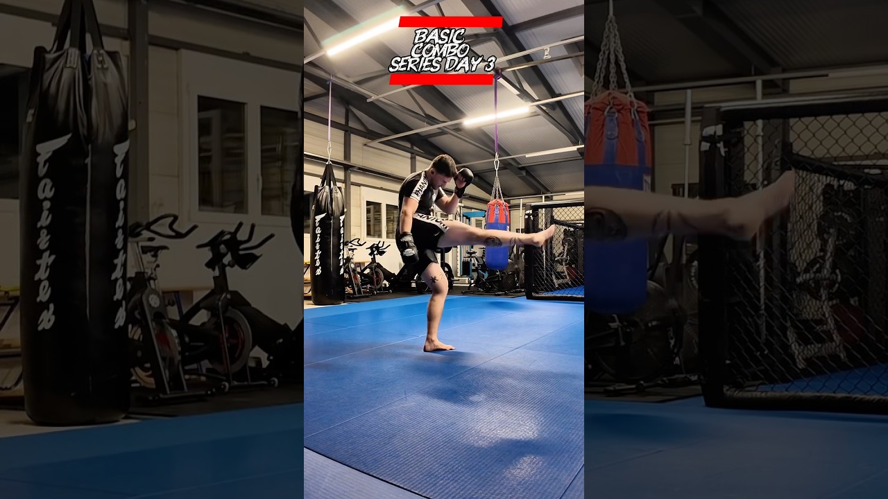 Basic striking combo series day 3🥊 