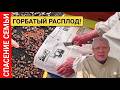 Критическая ошибка осенью! Как спасти пчел, если матка отрутнела?